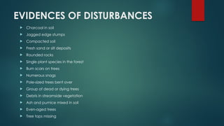 EVIDENCES OF DISTURBANCES
 Charcoal in soil
 Jagged edge stumps
 Compacted soil
 Fresh sand or silt deposits
 Rounded rocks
 Single plant species in the forest
 Burn scars on trees
 Numerous snags
 Pole-sized trees bent over
 Group of dead or dying trees
 Debris in streamside vegetation
 Ash and pumice mixed in soil
 Even-aged trees
 Tree tops missing
 