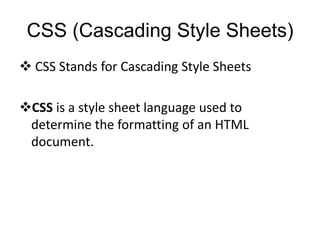 lesson-1-introduction-html-and-css.pptx