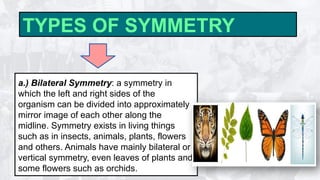 LESSON-1-MATHEMATICS-IN-THE-MODERN-WORLD (2).pptx