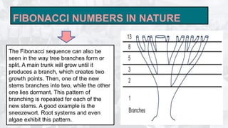 LESSON-1-MATHEMATICS-IN-THE-MODERN-WORLD (2).pptx