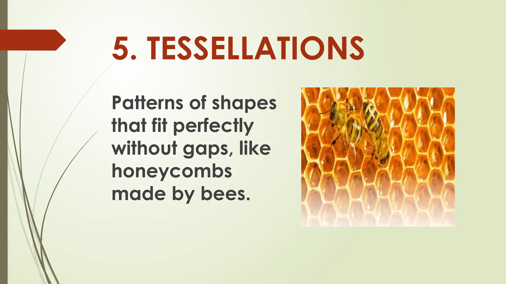 5. TESSELLATIONS
Patterns of shapes
that fit perfectly
without gaps, like
honeycombs
made by bees.
 