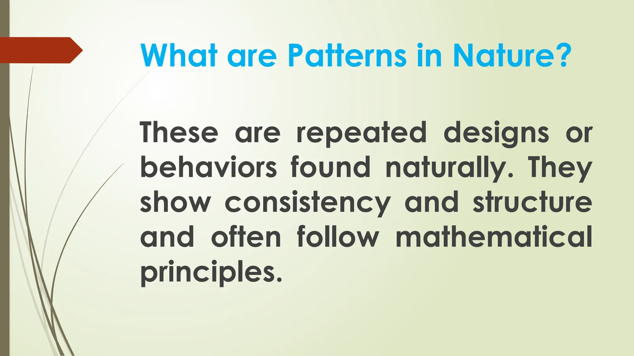 What are Patterns in Nature?
These are repeated designs or
behaviors found naturally. They
show consistency and structure
and often follow mathematical
principles.
 