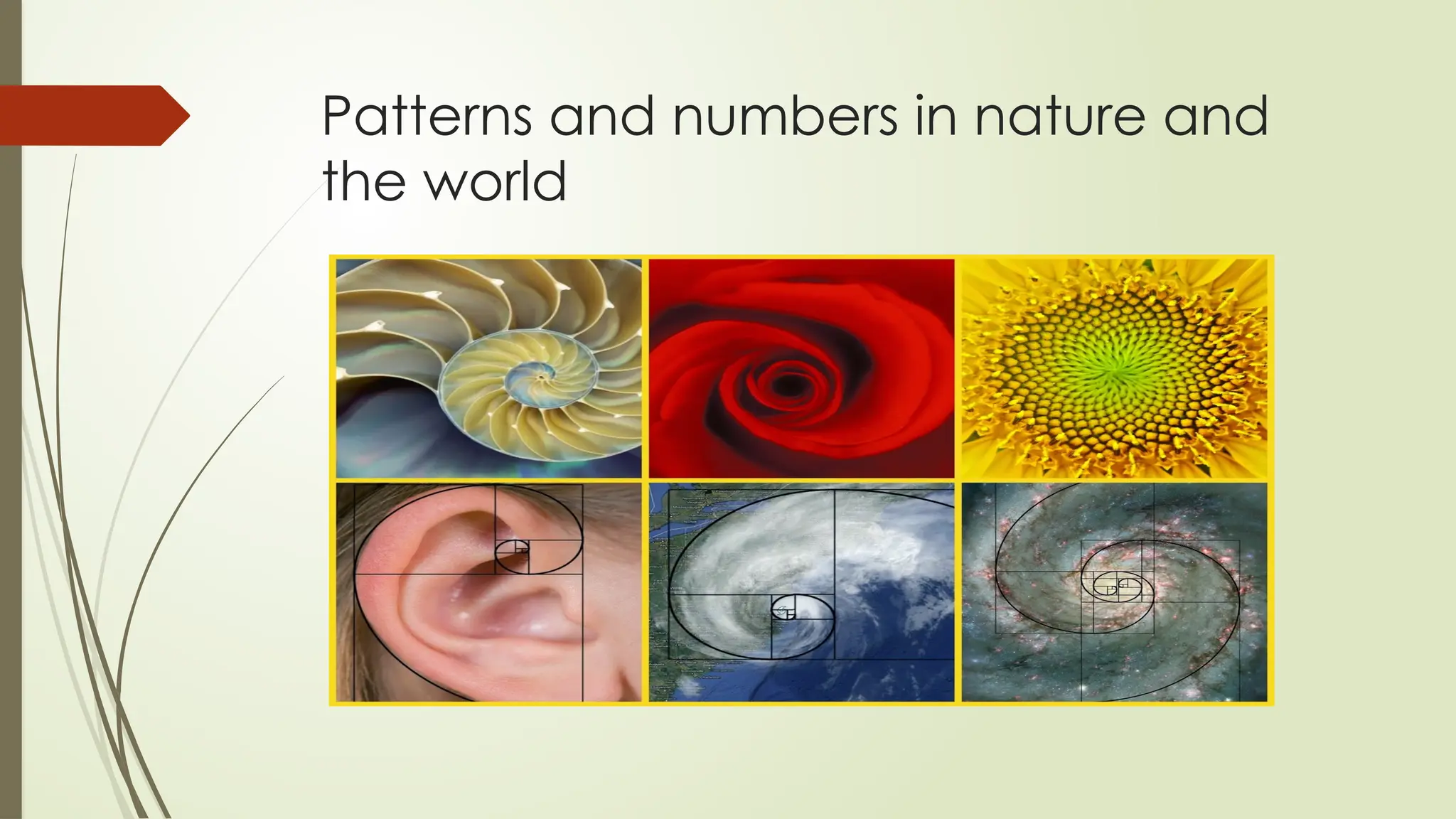 Patterns and numbers in nature and
the world
 