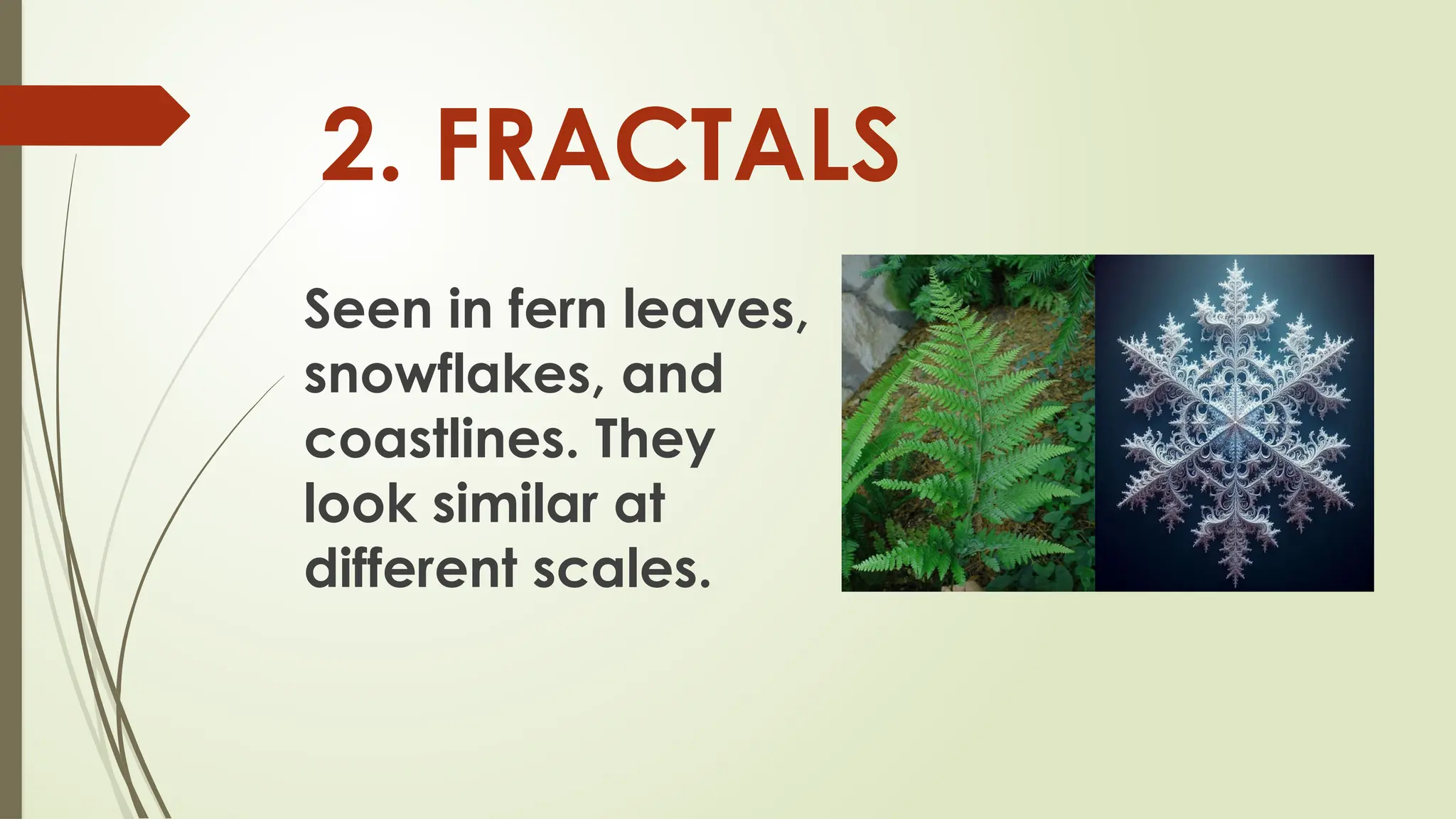 2. FRACTALS
Seen in fern leaves,
snowflakes, and
coastlines. They
look similar at
different scales.
 
