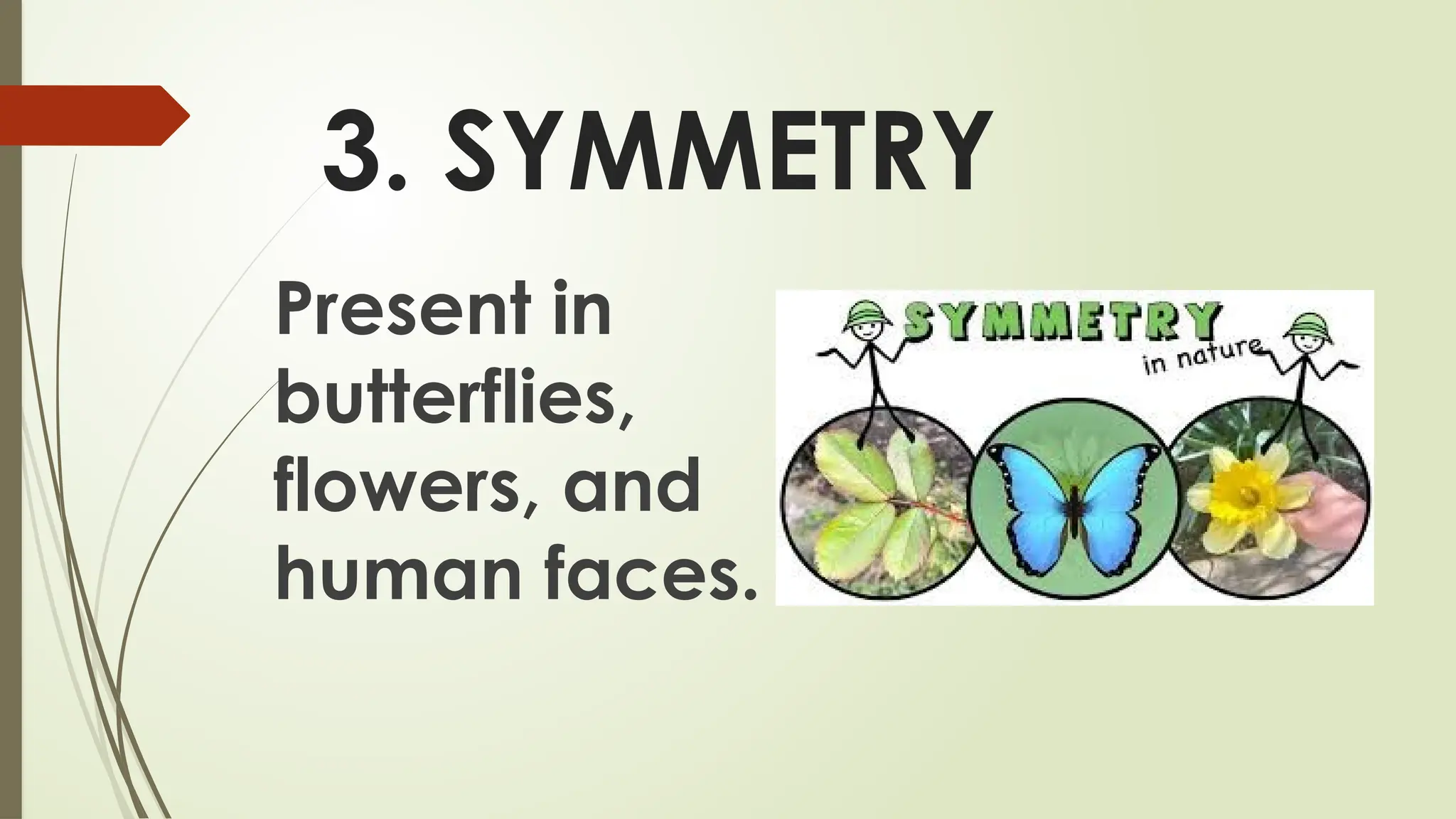 3. SYMMETRY
Present in
butterflies,
flowers, and
human faces.
 
