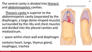 anatomy and physiology introduction..... | PDF