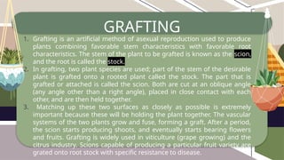 Engrafted Definition Lesson-1-Plant-Reproduction-and-Development.-lecture.pptx