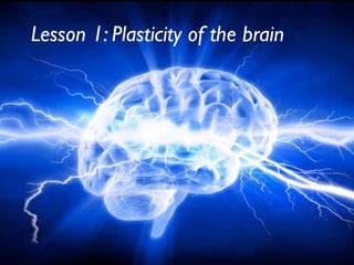 Lesson 1: Plasticity of the brain
 