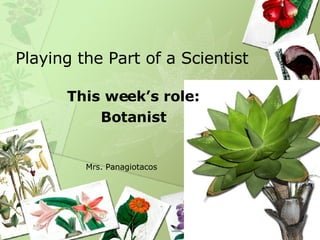 Playing the Part of a Scientist This week’s role: Botanist Mrs. Panagiotacos 