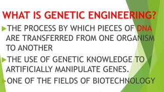 WHAT IS GENETIC ENGINEERING?
THE PROCESS BY WHICH PIECES OF DNA
ARE TRANSFERRED FROM ONE ORGANISM
TO ANOTHER
THE USE OF GENETIC KNOWLEDGE TO
ARTIFICIALLY MANIPULATE GENES.
ONE OF THE FIELDS OF BIOTECHNOLOGY
 