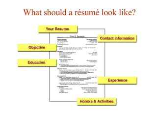 What should a  résumé look like? 