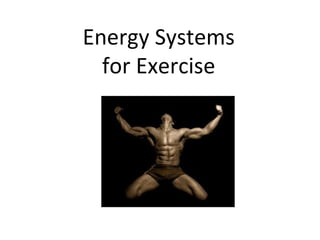 Energy Systems for Exercise 
