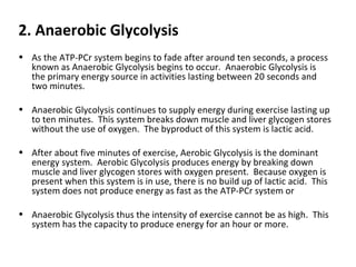 2. Anaerobic Glycolysis As the ATP-PCr system begins to fade after around ten seconds, a process known as Anaerobic Glycolysis begins to occur.  Anaerobic Glycolysis is the primary energy source in activities lasting between 20 seconds and two minutes.   Anaerobic Glycolysis continues to supply energy during exercise lasting up to ten minutes.  This system breaks down muscle and liver glycogen stores without the use of oxygen.  The byproduct of this system is lactic acid. After about five minutes of exercise, Aerobic Glycolysis is the dominant energy system.  Aerobic Glycolysis produces energy by breaking down muscle and liver glycogen stores with oxygen present.  Because oxygen is present when this system is in use, there is no build up of lactic acid.  This system does not produce energy as fast as the ATP-PCr system or  Anaerobic Glycolysis thus the intensity of exercise cannot be as high.  This system has the capacity to produce energy for an hour or more. 