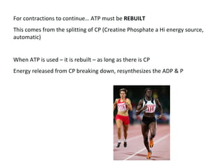 For contractions to continue… ATP must be  REBUILT   This comes from the splitting of CP (Creatine Phosphate a Hi energy source, automatic)  When ATP is used – it is rebuilt – as long as there is CP Energy released from CP breaking down, resynthesizes the ADP & P 