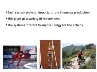 Each system plays an important role in energy production This gives us a variety of movements The systems interact to supply Energy for the activity 