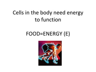 Cells in the body need energy to function FOOD=ENERGY (E) 