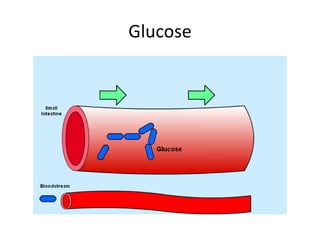 Glucose 
