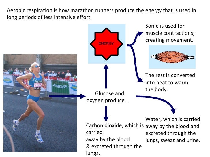 Lesson 11[1 St Dec 2008]