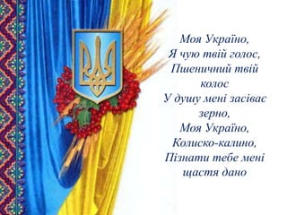 Моя Україно, 
Я чую твій голос, 
Пшеничний твій 
колос 
У душу мені засіває 
зерно, 
Моя Україно, 
Колиско-калино, 
Пізнати тебе мені 
щастя дано 
 