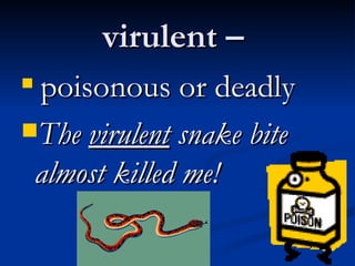 virulent –  poisonous or deadly The  virulent  snake bite almost killed me!  