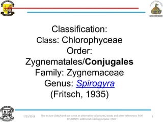 7/23/2018 This lecture slide/hand-out is not an alternative to lectures, books and other references: FOR
STUDENTS' additional reading purpose ONLY
1
Classification:
Class: Chlorophyceae
Order:
Zygnematales/Conjugales
Family: Zygnemaceae
Genus: Spirogyra
(Fritsch, 1935)
 