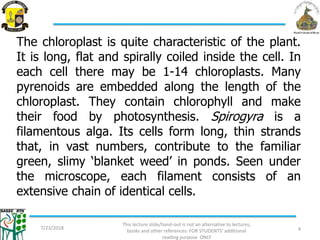 The chloroplast is quite characteristic of the plant.
It is long, flat and spirally coiled inside the cell. In
each cell there may be 1-14 chloroplasts. Many
pyrenoids are embedded along the length of the
chloroplast. They contain chlorophyll and make
their food by photosynthesis. Spirogyra is a
filamentous alga. Its cells form long, thin strands
that, in vast numbers, contribute to the familiar
green, slimy ‘blanket weed’ in ponds. Seen under
the microscope, each filament consists of an
extensive chain of identical cells.
7/23/2018
This lecture slide/hand-out is not an alternative to lectures,
books and other references: FOR STUDENTS' additional
reading purpose ONLY
4
 