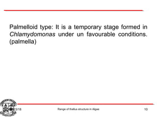 Palmelloid type: It is a temporary stage formed in
Chlamydomonas under un favourable conditions.
(palmella)
10Range of thallus structure in Algae07/23/18
 