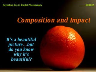Composition and Impact Revealing Eye in Digital Photography   DE002A It’s a beautiful picture…but do you know why it’s beautiful? 