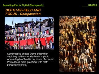 Revealing Eye in Digital Photography   DE002A DEPTH-OF-FIELD AND FOCUS - Compression Compressed photos works best when depicting patterns or rhythm in a photo where depth of field is not much of concern. Photo looks more graphical with “flat” perspective effect. 