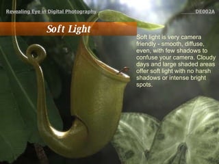 Revealing Eye in Digital Photography   DE002A Soft Light Soft light is very camera friendly - smooth, diffuse, even, with few shadows to confuse your camera. Cloudy days and large shaded areas offer soft light with no harsh shadows or intense bright spots.  