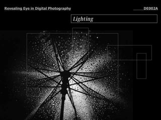 Lighting Revealing Eye in Digital Photography   DE002A 
