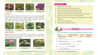 1 living and non living things for class 1 | PPTX