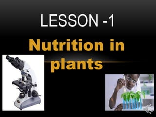 Nutrition in
plants
LESSON -1
 
