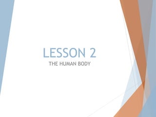 LESSON 2
THE HUMAN BODY
 