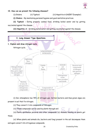 10. How can we prevent the following diseases?
(i) Cholera (ii) Typhoid
(i) Cholera : By maintaining personal hygiene and good sanitation practices.
(ii) Typhoid : Eating properly cooked food, drinking boiled water and by getting
vaccinated against the disease.
(iii) Hepatitis-A : Drinking boiled water and getting vaccinated against the disease.
1. Explain and draw nitrogen cycle.
Nitrogen cycle.
(i) Our atmosphere has 78% of nitrogen gas. Certain bacteria and blue
present in soil that fix nitrogen.
(ii) They convert it into compounds of Nitrogen.
(iii) These compounds can be used by plants through soil.
(iv) Plants synthesize proteins and other compounds. (v) Animals feeding on plants get
these.
(vi) When plants and animals die, bacteria and fungi present in the soil decompose them
and again convert into nitrogenous compounds.
I. Long Answer Type Questions
26 Created by Pinkz
. How can we prevent the following diseases?
(ii) Typhoid (iii) Hepatitis-A (NCERT Exemplar)
By maintaining personal hygiene and good sanitation practices.
Eating properly cooked food, drinking boiled water and by getting
Drinking boiled water and getting vaccinated against the disease.
1. Explain and draw nitrogen cycle.
(i) Our atmosphere has 78% of nitrogen gas. Certain bacteria and blue
present in soil that fix nitrogen.
(ii) They convert it into compounds of Nitrogen.
(iii) These compounds can be used by plants through soil.
ize proteins and other compounds. (v) Animals feeding on plants get
(vi) When plants and animals die, bacteria and fungi present in the soil decompose them
and again convert into nitrogenous compounds.
Answer Type Questions.
Created by Pinkz
A (NCERT Exemplar)
By maintaining personal hygiene and good sanitation practices.
Eating properly cooked food, drinking boiled water and by getting
Drinking boiled water and getting vaccinated against the disease.
(i) Our atmosphere has 78% of nitrogen gas. Certain bacteria and blue-green algae are
ize proteins and other compounds. (v) Animals feeding on plants get
(vi) When plants and animals die, bacteria and fungi present in the soil decompose them
 