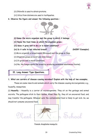 (ii) Chlorella is used to obtain proteins.
(iii) Silica from diatoms are used in toothpastes.
6. Observe the figure and answer the following questions :
(i) Name the micro-organism and the group to which it belongs.
(ii) Name the food items on which the organi
(iii) Does it grow well in dry or in moist conditions?
(iv) Is it safe to eat infected bread?
(i) Micro-organism is bread mould (Rhizopus) and the group is fungi.
(ii) Organism grows on moist and stale bread.
(iii) It grows well in moist conditions.
(iv) No, the fungus spoils the bread by producing poisonous substances (toxins).
1. What are carriers of disease
These are some insects and animals which carry the disease
housefly, mosquitoes.
(i) Housefly : Housefly is a carrier of microorganisms. They sit on the garbage and animal
excreta. The pathogens stick to their bodies. When the
may transfer the pathogens. Whoever eats the contaminated food is likely to get sick. So, we
should not consume uncovered food.
Female Anopheles mosquito
II. Long Answer Type Questions
29 Created by Pinkz
is used to obtain proteins.
(iii) Silica from diatoms are used in toothpastes.
6. Observe the figure and answer the following questions :
organism and the group to which it belongs.
(ii) Name the food items on which the organism grows.
(iii) Does it grow well in dry or in moist conditions?
(iv) Is it safe to eat infected bread?
organism is bread mould (Rhizopus) and the group is fungi.
(ii) Organism grows on moist and stale bread.
(iii) It grows well in moist conditions.
(iv) No, the fungus spoils the bread by producing poisonous substances (toxins).
1. What are carriers of disease-causing microbes? Explain with the help of two examples.
These are some insects and animals which carry the disease-causing microorganisms, e.g.,
Housefly is a carrier of microorganisms. They sit on the garbage and animal
excreta. The pathogens stick to their bodies. When they fly, they sit on uncovered food, and
may transfer the pathogens. Whoever eats the contaminated food is likely to get sick. So, we
should not consume uncovered food.
Female Anopheles mosquito
Answer Type Questions.
Created by Pinkz
organism and the group to which it belongs.
(NCERT Exemplar)
organism is bread mould (Rhizopus) and the group is fungi.
(iv) No, the fungus spoils the bread by producing poisonous substances (toxins).
causing microbes? Explain with the help of two examples.
causing microorganisms, e.g.,
Housefly is a carrier of microorganisms. They sit on the garbage and animal
y fly, they sit on uncovered food, and
may transfer the pathogens. Whoever eats the contaminated food is likely to get sick. So, we
 