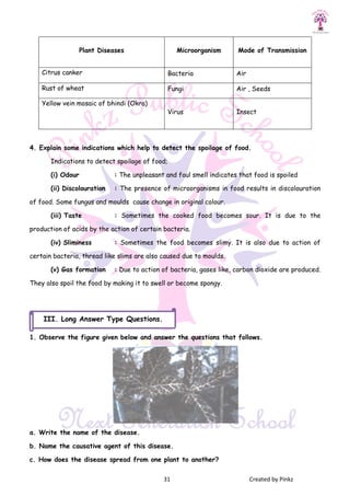 Plant Diseases
Citrus canker
Rust of wheat
Yellow vein mosaic of bhindi (Okra)
4. Explain some indications which help to detect the spoilage of food.
Indications to detect spoilage of food;
(i) Odour : The unpleasant and foul smell indicates that food is spoiled
(ii) Discolouration : The presence of microorganisms in food results in discolouration
of food. Some fungus and moulds cause change in original colour.
(iii) Taste : Som
production of acids by the action of certain bacteria.
(iv) Sliminess : Sometimes the food becomes slimy. It is also due to action of
certain bacteria, thread like slims are also caused due to moulds.
(v) Gas formation : Due to action of bacteria, gases like, carbon dioxide are produced.
They also spoil the food by making it to swell or become spongy.
1. Observe the figure given below and answer the questions that follows.
a. Write the name of the disease.
b. Name the causative agent of this disease.
c. How does the disease spread from one plant to another?
III. Long Answer Type Questions
31 Created by Pinkz
Microorganism Mode of Transmission
Bacteria Air
Fungi Air , Seeds
Yellow vein mosaic of bhindi (Okra)
Virus Insect
. Explain some indications which help to detect the spoilage of food.
Indications to detect spoilage of food;
The unpleasant and foul smell indicates that food is spoiled
The presence of microorganisms in food results in discolouration
of food. Some fungus and moulds cause change in original colour.
Sometimes the cooked food becomes sour. It is due to the
production of acids by the action of certain bacteria.
Sometimes the food becomes slimy. It is also due to action of
certain bacteria, thread like slims are also caused due to moulds.
Due to action of bacteria, gases like, carbon dioxide are produced.
They also spoil the food by making it to swell or become spongy.
1. Observe the figure given below and answer the questions that follows.
a. Write the name of the disease.
b. Name the causative agent of this disease.
c. How does the disease spread from one plant to another?
Answer Type Questions.
Created by Pinkz
Mode of Transmission
Air , Seeds
Insect
The unpleasant and foul smell indicates that food is spoiled
The presence of microorganisms in food results in discolouration
our. It is due to the
Sometimes the food becomes slimy. It is also due to action of
Due to action of bacteria, gases like, carbon dioxide are produced.
1. Observe the figure given below and answer the questions that follows.
 