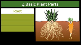 LESSON-2-CLASSIFICATION of agriculture and fishery | PDF