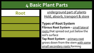 LESSON-2-CLASSIFICATION of agriculture and fishery | PDF