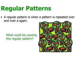Rigular Pattern Lesson 2 - Identifying Patterns | PPT