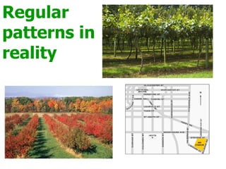 Example Of Regularity Pattern Lesson 2 - Identifying Patterns | PPT