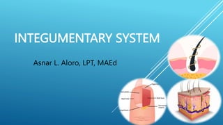 INTEGUMENTARY SYSTEM
Asnar L. Aloro, LPT, MAEd
 