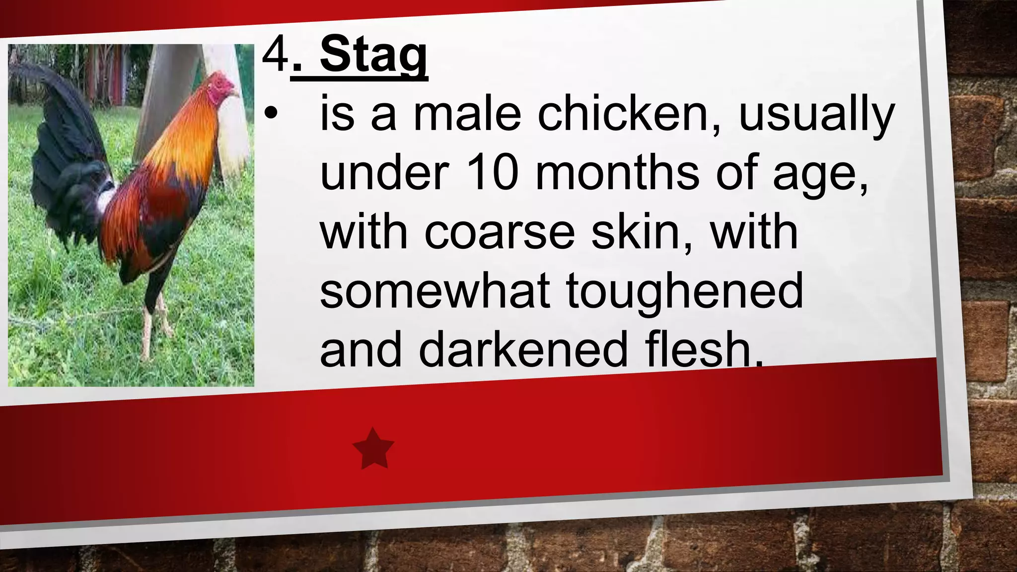 Poultry Lesson Lesson-2-Prepare-Poultry-and-Game-Dishes ppt.pptx
