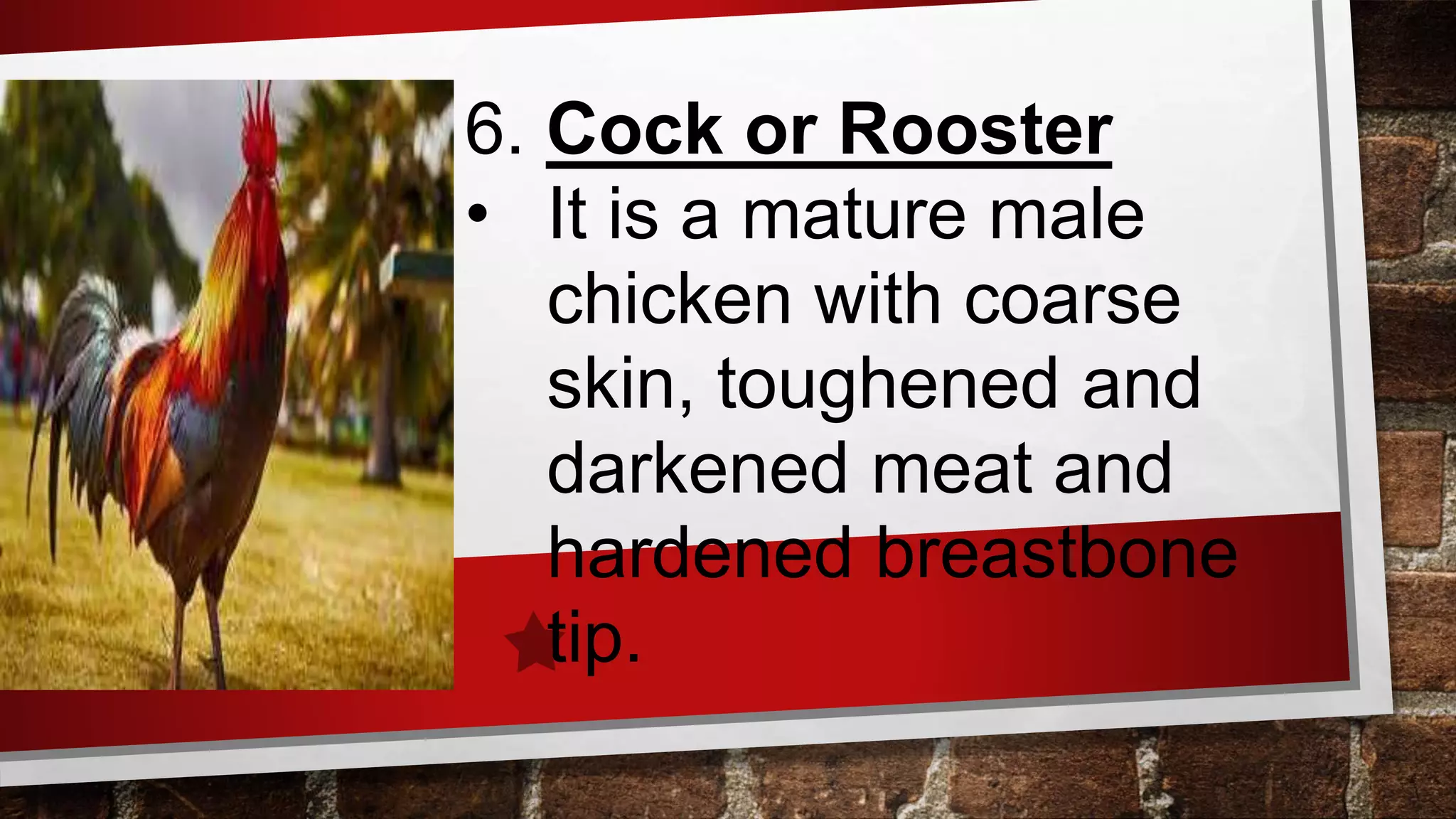 Poultry Lesson Lesson-2-Prepare-Poultry-and-Game-Dishes ppt.pptx