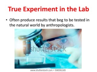 True Experiment in the Lab
• Often produce results that beg to be tested in
the natural world by anthropologists.
 