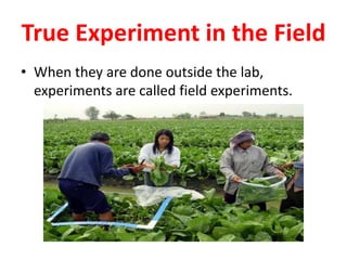 True Experiment in the Field
• When they are done outside the lab,
experiments are called field experiments.
 