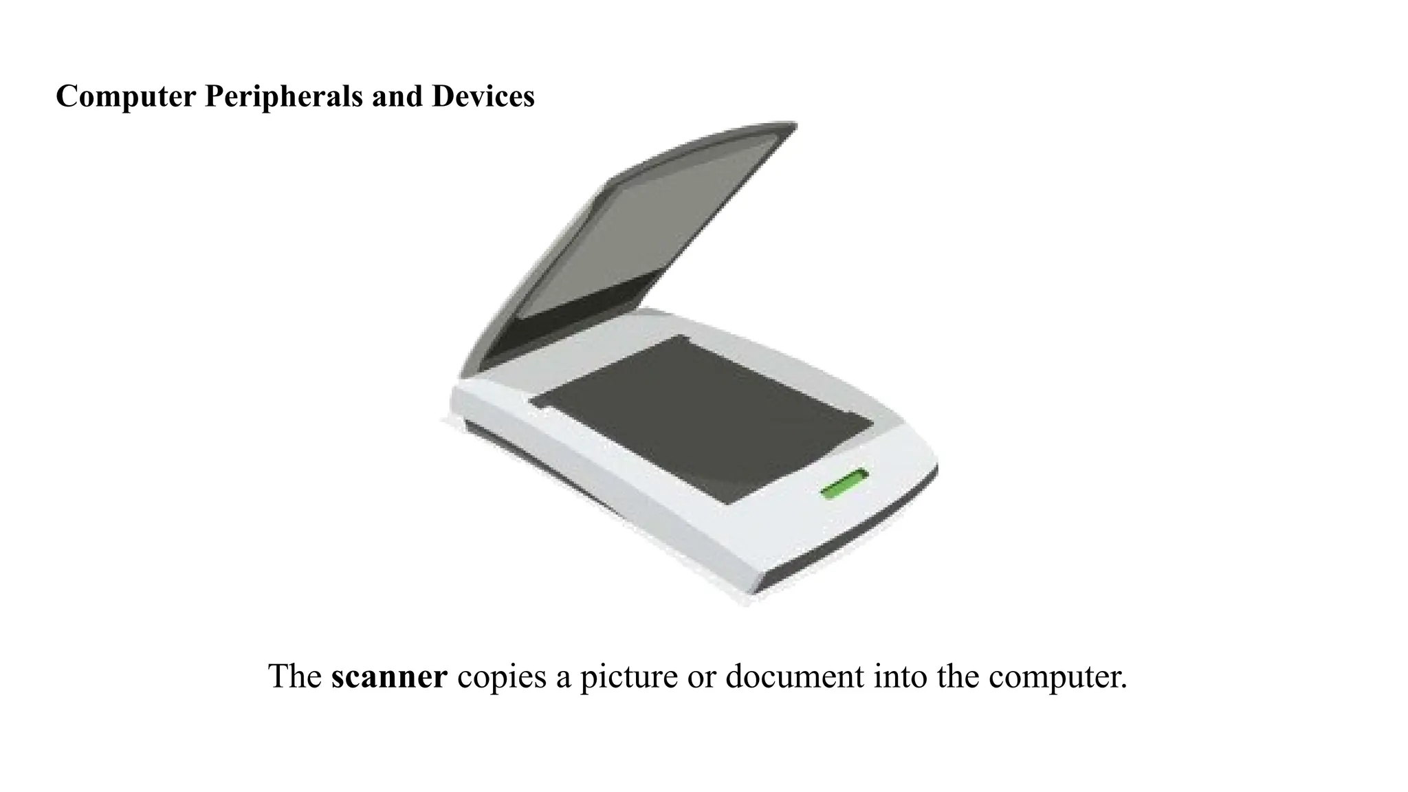 Computer Peripherals and Devices
The scanner copies a picture or document into the computer.
 