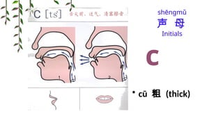 Lesson-2-The-Chinese-Phonetic-Alphabet.pptx