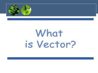 Comprehensive Guide to Scalars and Vectors in Physics with Applications ...