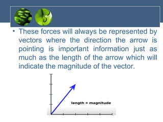 Comprehensive Guide to Scalars and Vectors in Physics with Applications ...